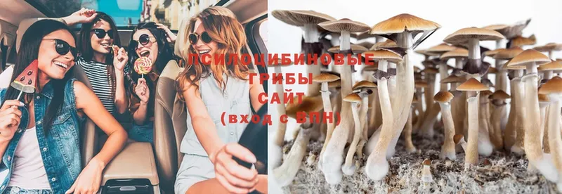 Галлюциногенные грибы MAGIC MUSHROOMS  площадка как зайти  Барабинск 